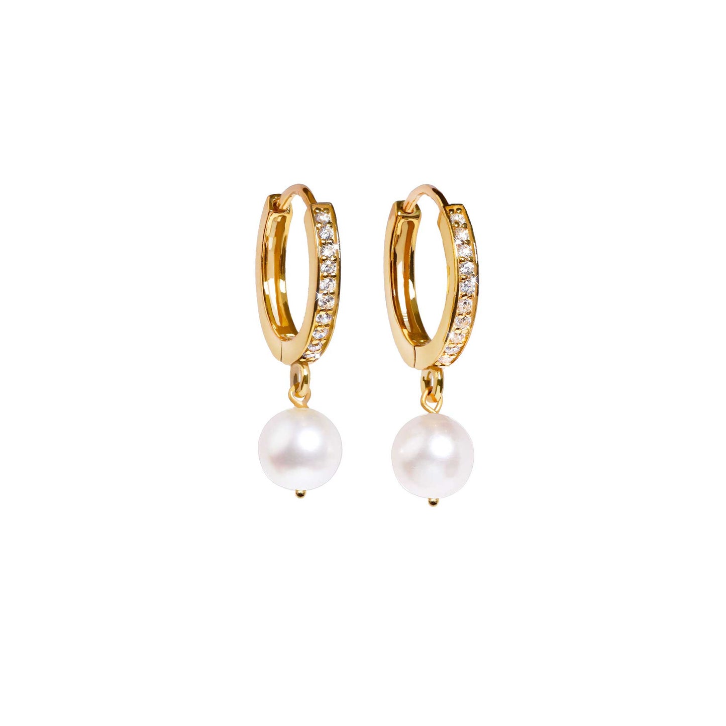 Graceful Loop Earrings